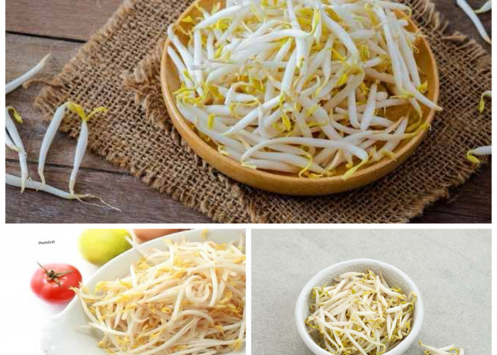 Manfaat Toge bagi Kesehatan Tubuh: Sumber Nutrisi Murah Meriah yang Kaya Khasiat!