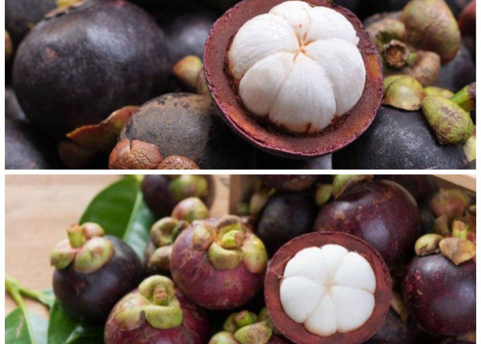 Ketahui 5 Manfaat Buah Manggis untuk Kesehatan, dari Antioksidan hingga Pencernaan!