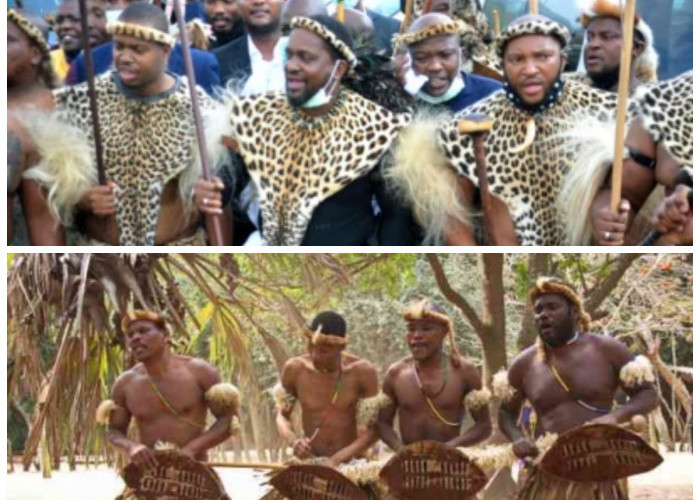 Kisah Panjang Suku Zulu: Dari Perlawanan hingga Kejayaan di Afrika Selatan