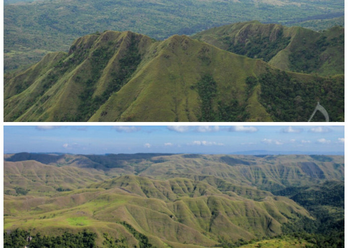 Menelusuri Gunung Wanggameti: Kisah Alam, Budaya, dan Ketinggian di Tanah Sumba