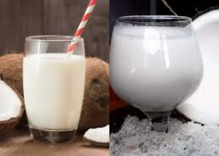 Manfaat Coconut Milk bagi Kesehatan Yang Perlu Kalian Tahu!
