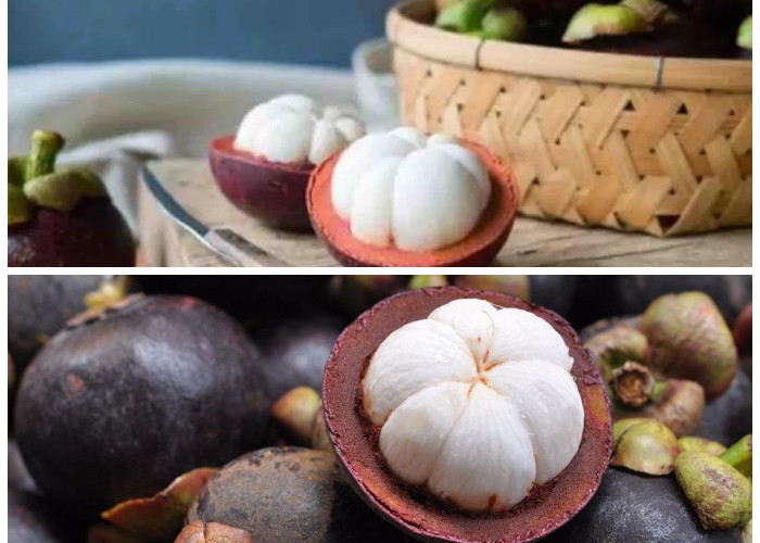 Manfaat Buah Manggis untuk Kesehatan: Tingkatkan Imunitas dan Jaga Jantung