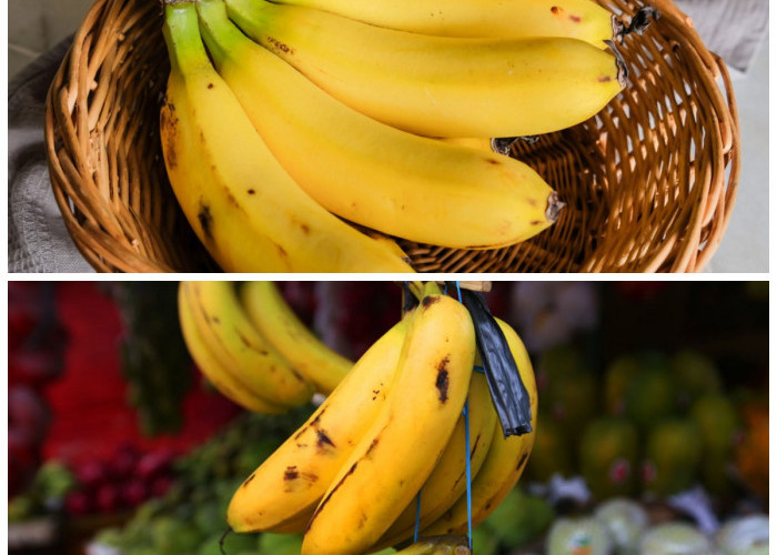Hebatnya Pisang Ambon! Buah Sederhana dengan Manfaat Besar untuk Stamina dan Daya Tahan Tubuh