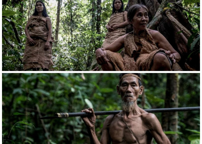 Menelusuri Jejak Kehidupan Suku Punan Batu!  Si Pemburu dan Peramu di Gunung Batu Benau