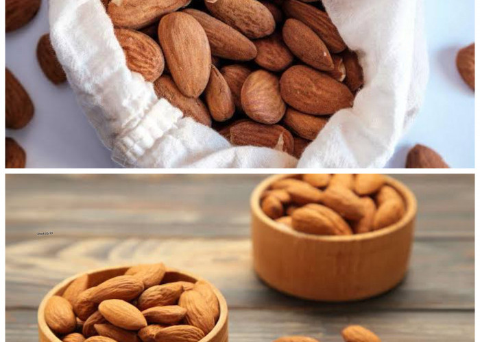 Mengungkap Manfaat Kacang Almond bagi Kesehatan Tubuh: Dari Jantung Sehat hingga Otak Cerdas!