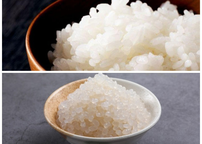 Shirataki, Alternatif Nasi Rendah Kalori: Kenali Manfaatnya untuk Tubuhmu!