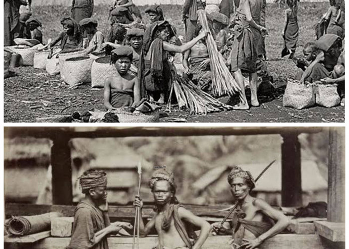 Asal Usul Suku Batak di Sumatera Utara, Jejak Leluhur dari Asia Selatan yang Masih Menjadi Perbincangan