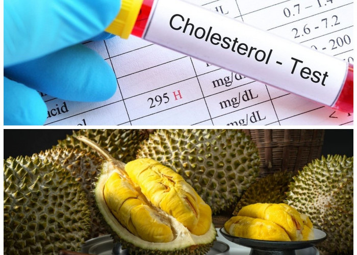 Makan Durian Tanpa Cemas Kolesterol: Apa yang Perlu Anda Ketahui?