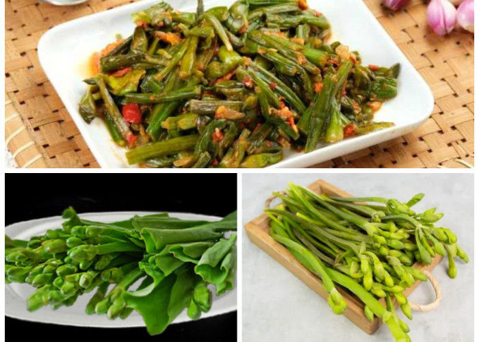 8 Manfaat dan Khasiat Sayur Genjer untuk Kesehatan Tubuh yang Jarang Diketahui!