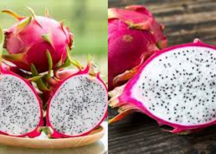 Inilah 10 Manfaat Buah Naga Putih Untuk Kesehatan Tubuh Yang Jarang Diketahui!