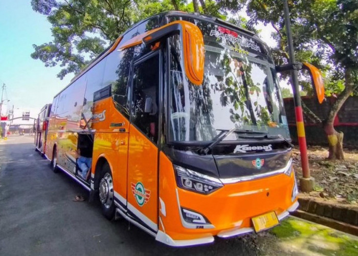 On Trip Berasa Nginap di Hotel Berbintang, Inilah 7 PO Bus Berkelas VIP