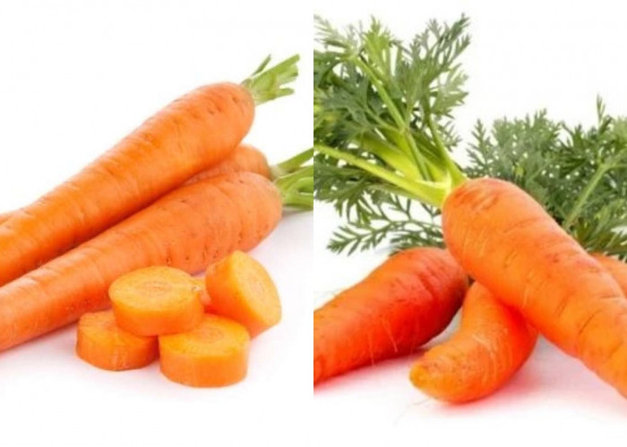 Menjaga Kesehatan Mata Inilah Manfaat Wartel Yang Perlu Diketahui! 