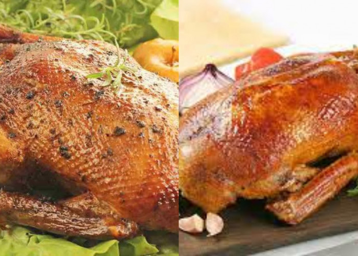 Jarang Diketahui! Ini Dia Manfaat Daging Bebek Yang Menakjubkan