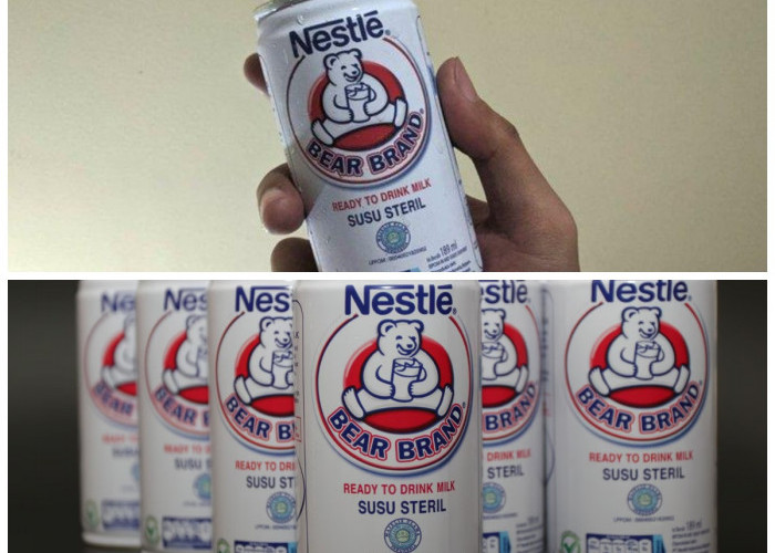 Bear Brand Milk untuk Tubuh Fit: Manfaat dan Panduan Konsumsi Aman