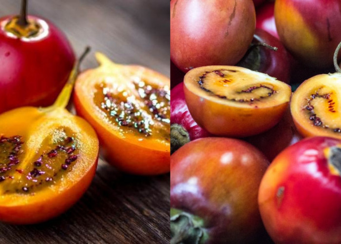 Terong Belanda: Buah Kaya Nutrisi dengan Segudang Manfaat untuk Kesehatan!