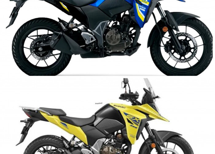 Suzuki V-Strom 250 Hadir dengan Tampilan Modern, Pilihan Menarik untuk Penggemar Touring