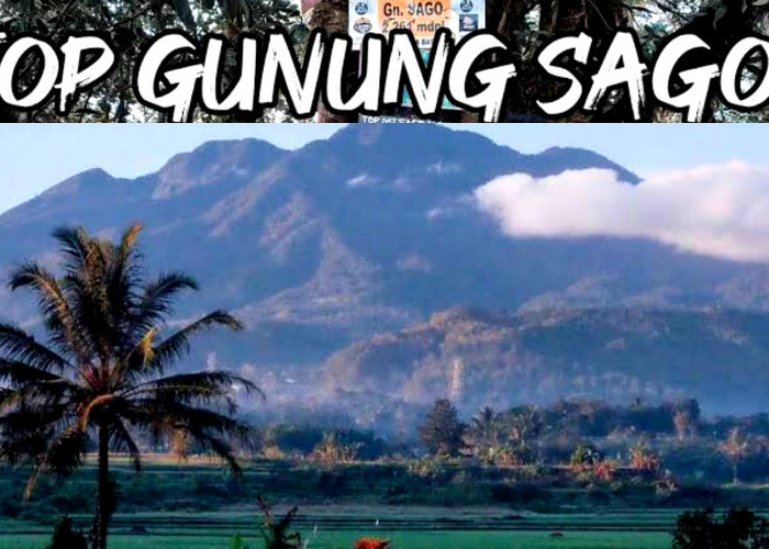 Pesona dan Daya Tarik Puncak Sumatera Barat. Inilah Gunung Sago yang Menjulang Gagah