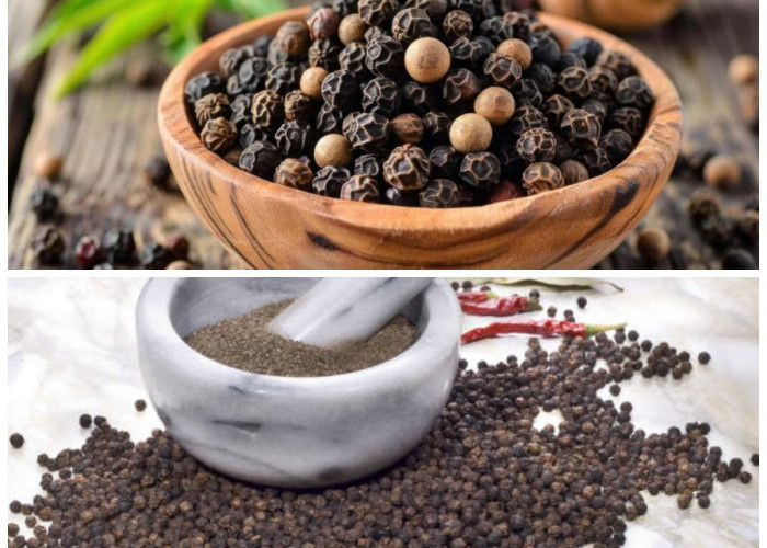 Manfaat Lada Hitam bagi Tubuh: Kaya Nutrisi dan Ampuh Jaga Kesehatan