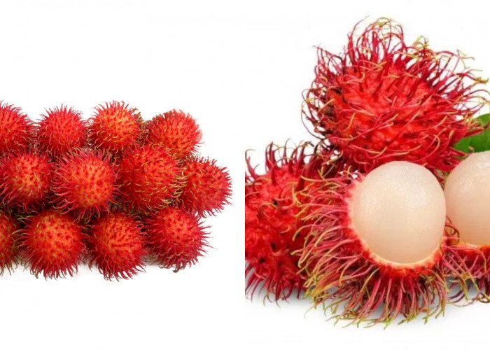 Membantu Mengatasi Anemia Teryata Ini Manfaat Buah Rambutan Guys! 