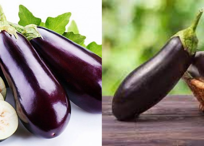 Yuk Intip! Manfaat Terong Untuk Kesehatan Pria Yang Jarang Diketahui