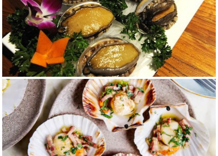 Dikenal Sebagai Superfood Laut, Ini Kandungan dan Khasiat Kerang Simping yang Jarang Diketahui!