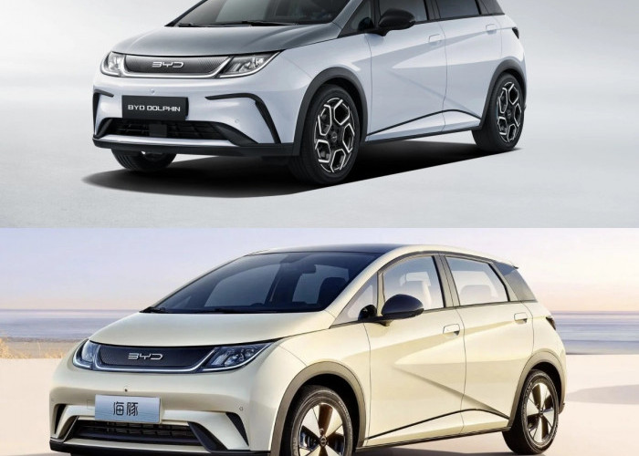 BYD Dolphin Makin Populer, Simbol Baru Gaya Hidup Gen Z