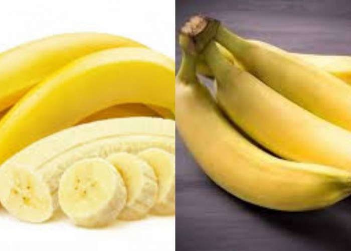 Kenali 8 Jenis dan Manfaat Pisang untuk Kesehatan Tubuh