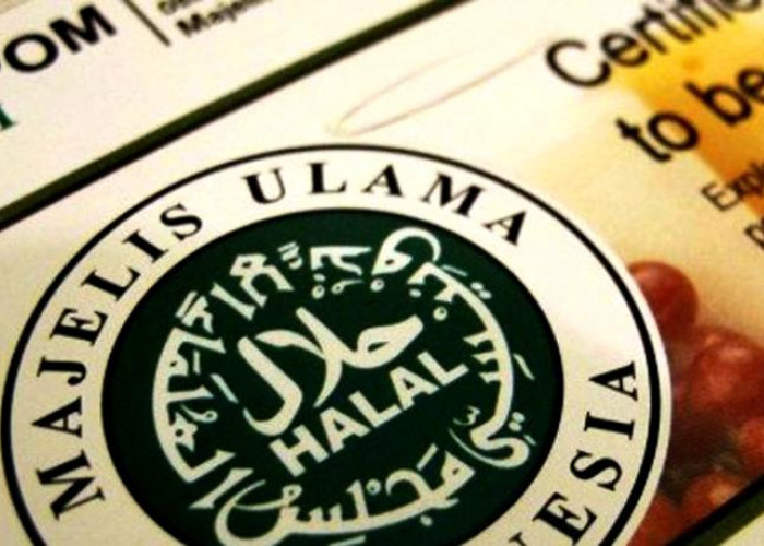17 Oktober Belum Miliki Produk Bersertifikat Halal Akan Disangsi, Ini Syarat Daftarnya!