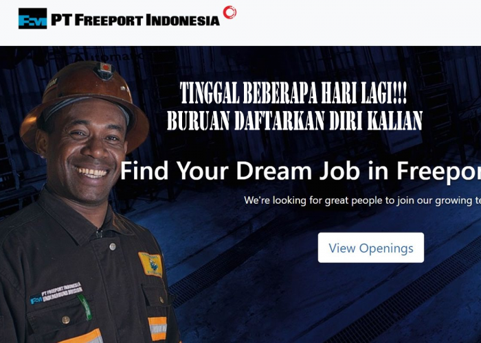 PT Freeport Indonesia Buka Lowongan Kerja untuk Data Scientist, Batas Pendaftaran 16 Agustus