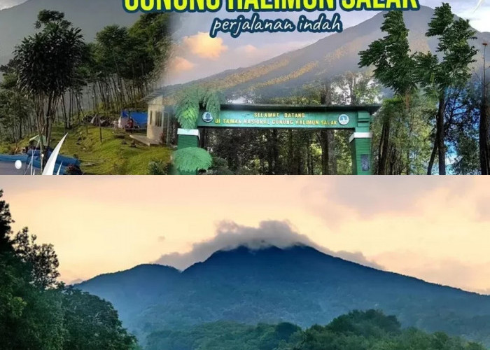 Mau Menjelajahi Keindahan Gunung Halimun? Siapkah Kamu Menghadapinya!