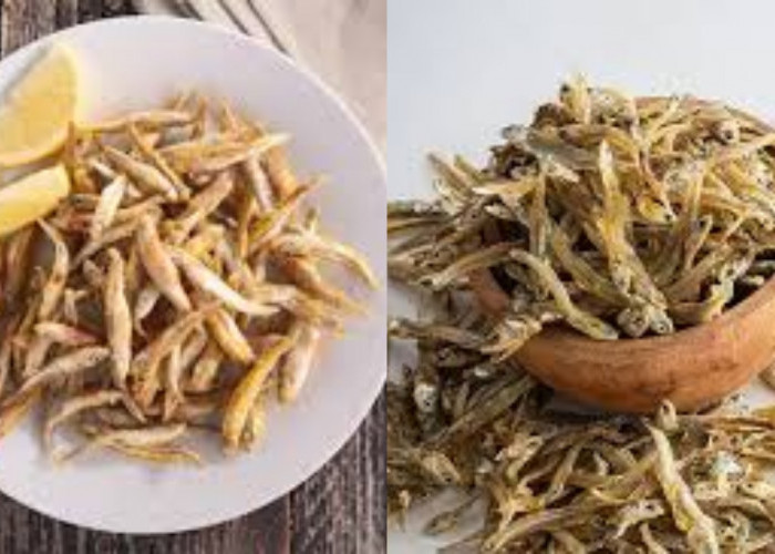 Kaya Omega 3, Inilah Manfaat Ikan Teri Untuk Kesehatan Yang Luar Biasa!