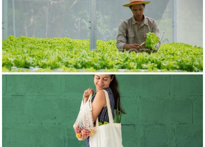 Tren Hidup Hijau di Kalangan Milenial: Dari Gaya Fashion Berkelanjutan hingga Pertanian Kota