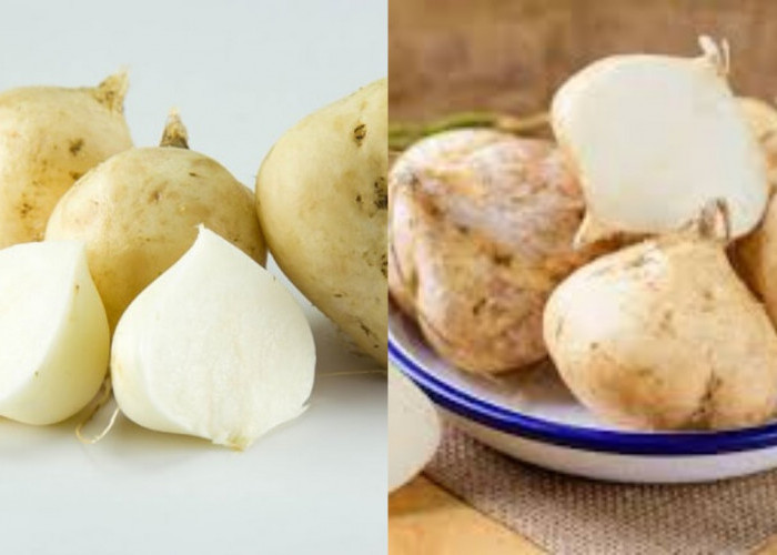 Manfaat Bengkoang yang Penting bagi Kesehatan, Kaya Serat dan Vitamin!