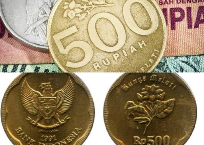 Dihargai Rp2,4 Juta, Temukan dan Jual Koin Kuno Rp500 Melati yang Langka Ini!