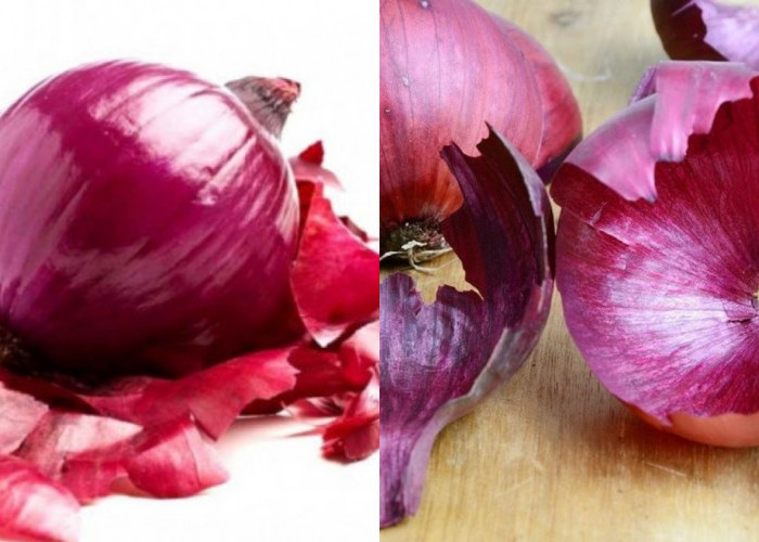 Berbagai Manfaat Kulit Bawang Untuk Kesehatan Yang Jarang Diketahui! 
