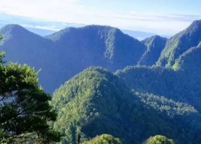 Mengenal Gunung Djadi, Keajaiban Alam Tersembunyi di Serambi Mekkah Riau