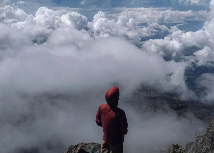 Kisah Mistis Alunan Gamelan di Gunung Arjuno, Ternyata Pendaki Alami Hal Beginian
