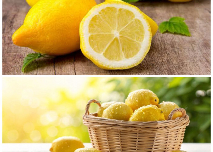 Manfaat Lemon untuk Kesehatan: Buah Kaya Vitamin C yang Baik Dikonsumsi Setiap Hari