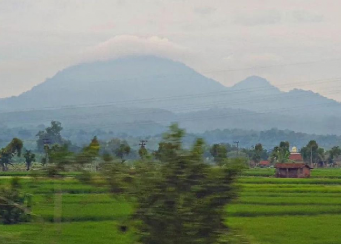 Gunung Pandan: Antara Sejarah Tanaman Pandan dan Legenda yang Hidup