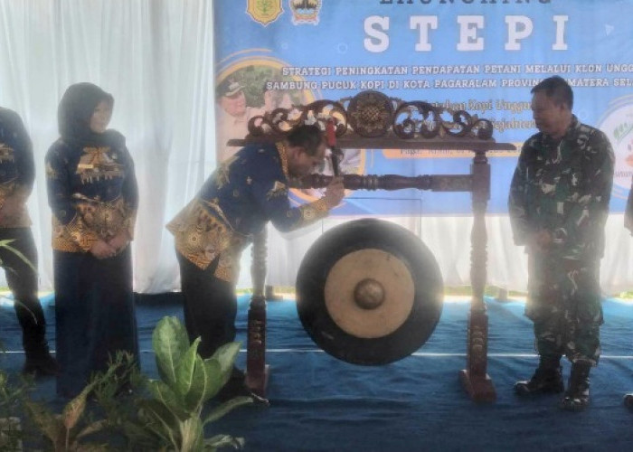  Distan Lounching STEPI, Informasi Kopi Pagar Alam Dalam Genggaman