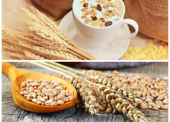 Gandum Utuh: Pilihan Tepat Menu Diet Kaya Serat dengan Beragam Khasiat untuk Tubuh