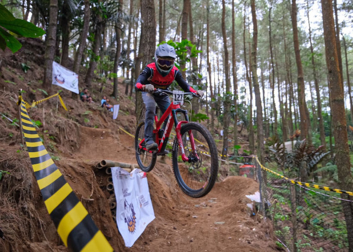  Kemenparekraf: BOB Downhill Competition Jadi Penggerak Perekonomian di Sekitar Borobudur
