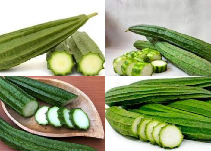 Jarang Diketahui! Inilah Manfaat Sayur Oyong Untuk Kesehatan Tubuh!