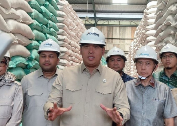 Stok Beras Tembus 5,1 Juta Ton, Bulog Harus Disiplin Jaga Kualitas