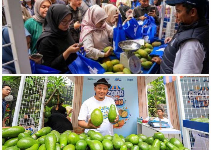 Dukungan BRI Membantu Petani Mangga Bondowoso Perluas Usaha dan Tingkatkan Kesejahteraan