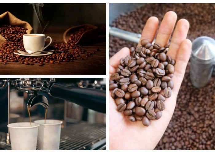 Dari Biji ke Cangkir: Tips Mengolah Kopi dan Teknik Roasting untuk Rasa Maksimal