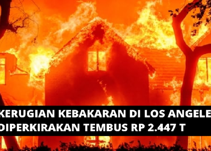 Kebakaran Hutan di Los Angeles Menelan Kerugain Yang Besar, Berikut Penjelasannya!