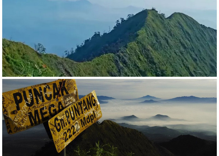 Keangkeran dan Keindahan Gunung Mega: Warisan Budaya di Jantung Papua Barat