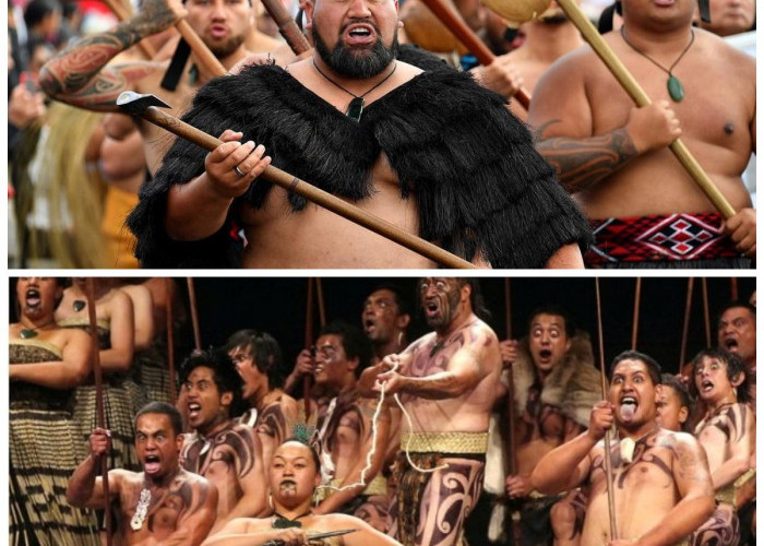 Mengenal Selandia Baru Lebih Dekat: 5 Fakta Unik tentang Suku Maori dan Warisan Ribuan Tahun