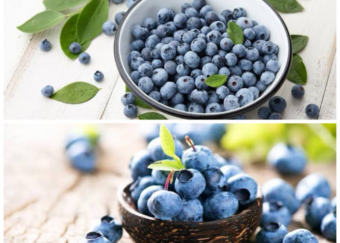 7 Manfaat Blueberry untuk Kesehatan, Buah Kecil Kaya Antioksidan yang Baik Dikonsumsi Setiap Hari